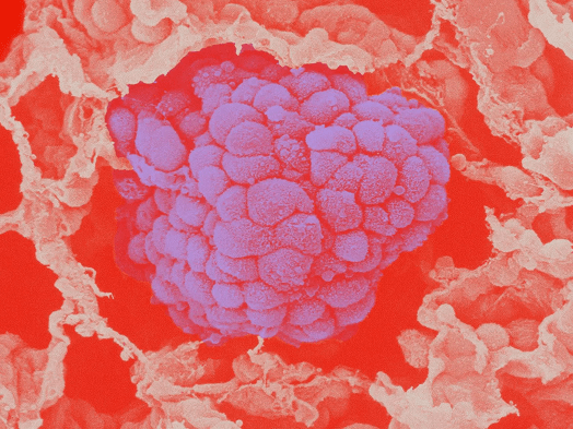 Наше наследие