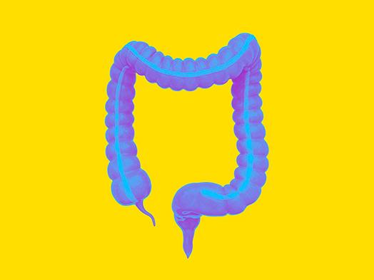 В чем состоит важность эндоскопии?